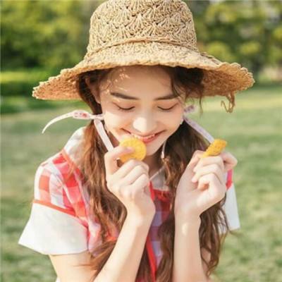 数码宝贝新世纪日服官方版下载